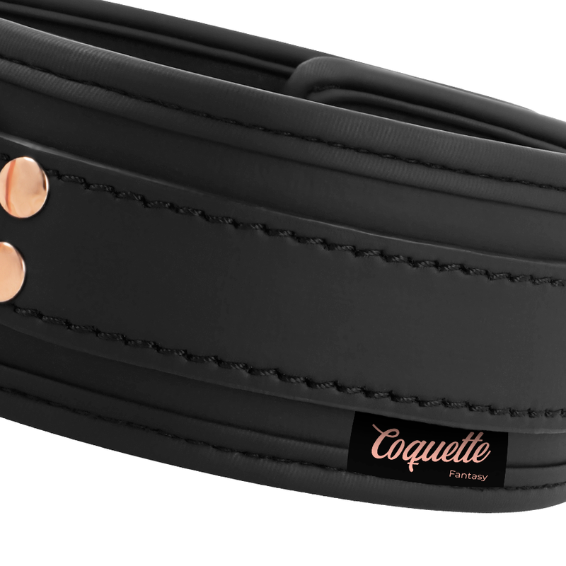 Coquette Fantasy Coquette Chic Desire - Fantasy Vegan Leather Collar With Neoprene Lining