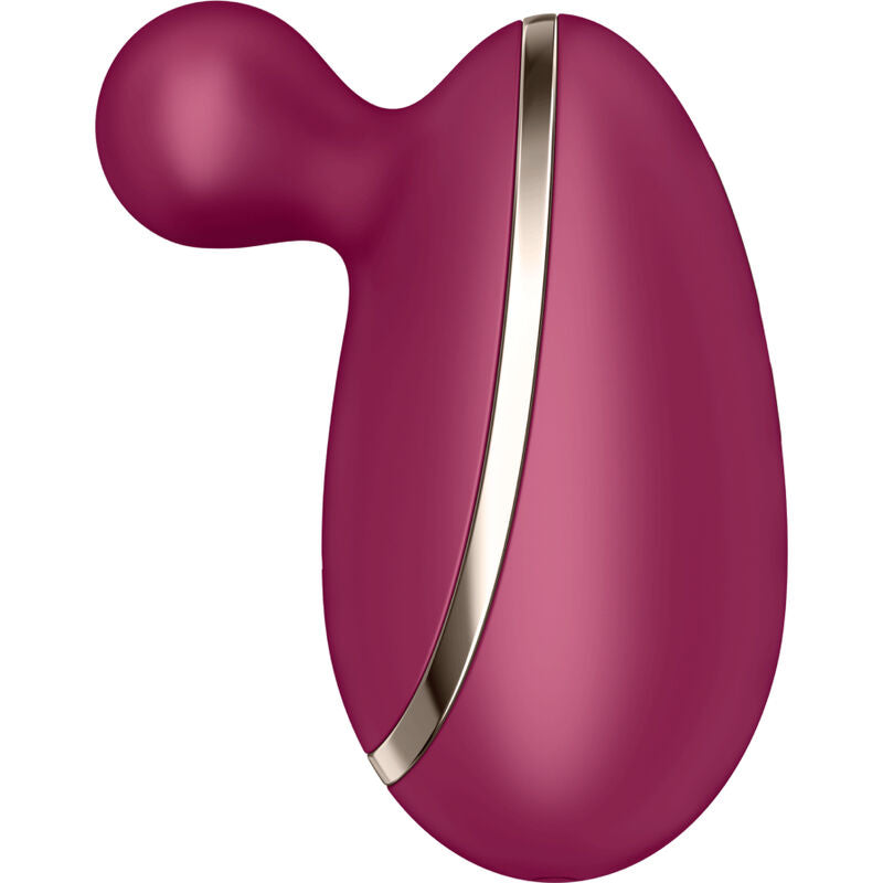 Satisfyer Classic Vibrator