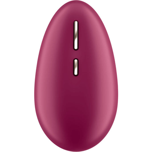 Satisfyer Classic Vibrator