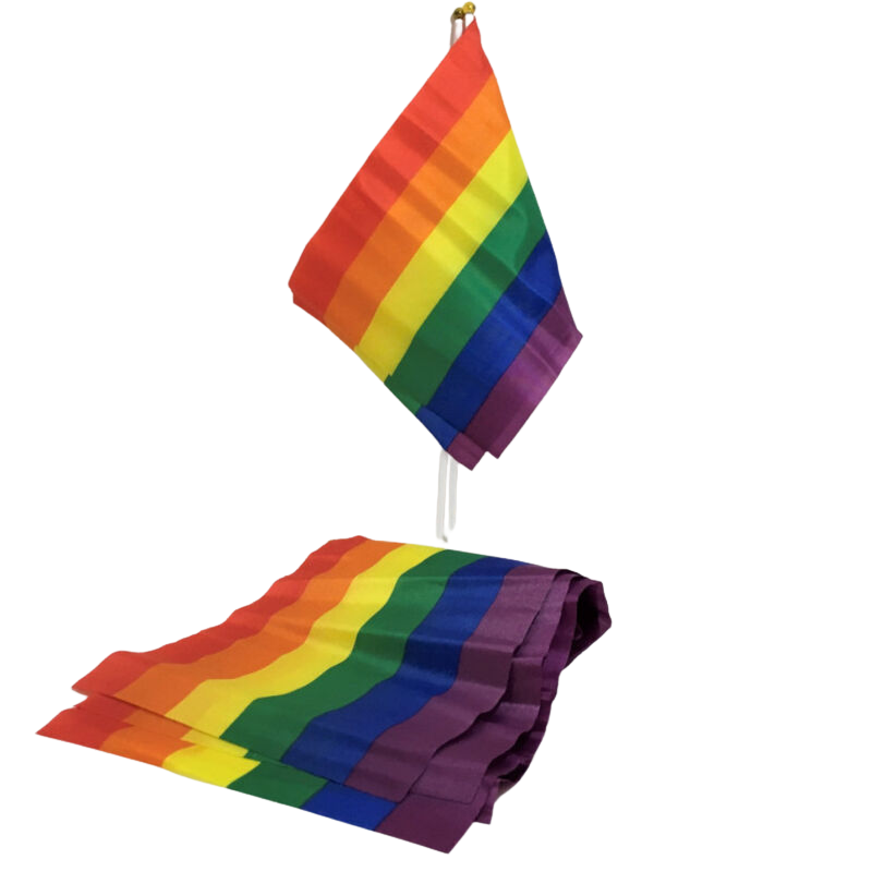 Pride Lgbt Flag Small Flag Banner