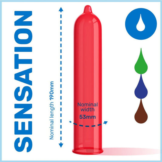 Pasante Condoms Eco Pack Flavors Bag 288 Units