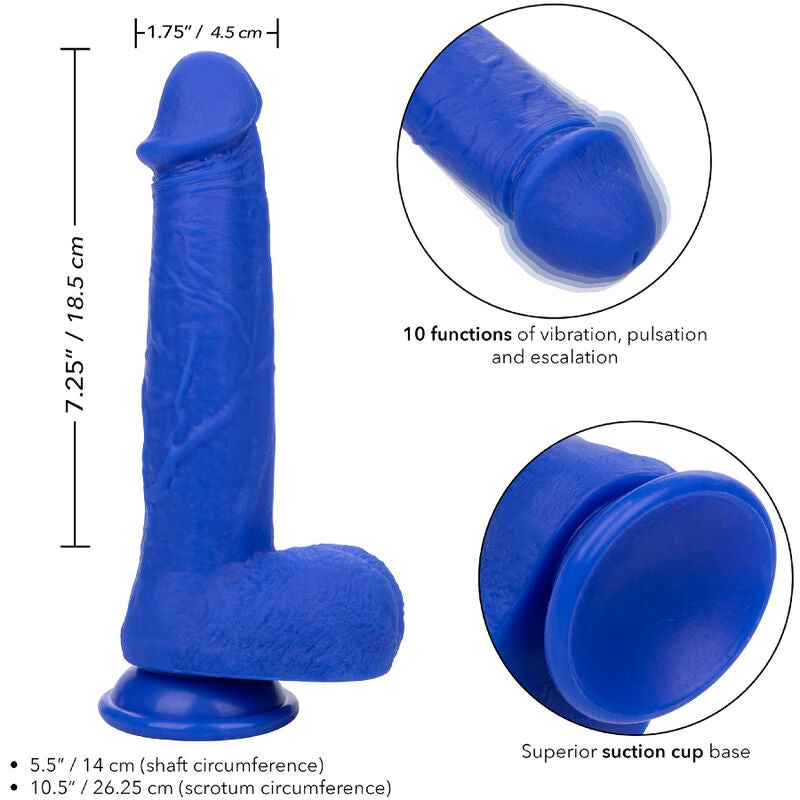 Calexotics Admiral Captain Realistic Dildo Vibrator Blue