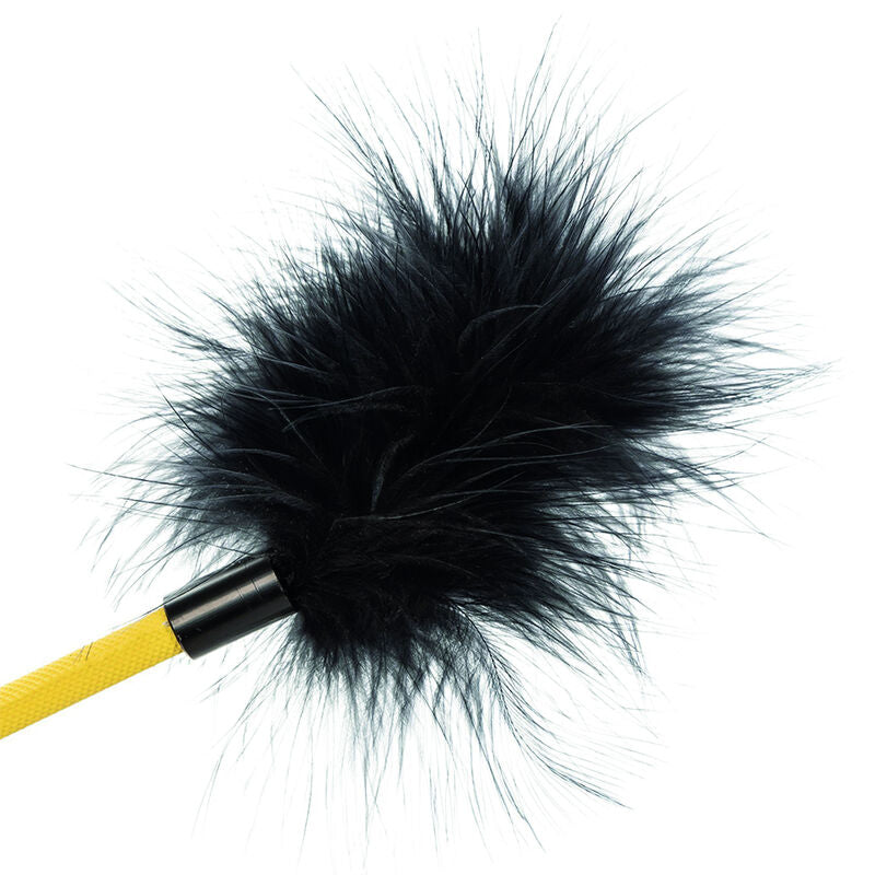 Calexotics Boundless Feather Crop