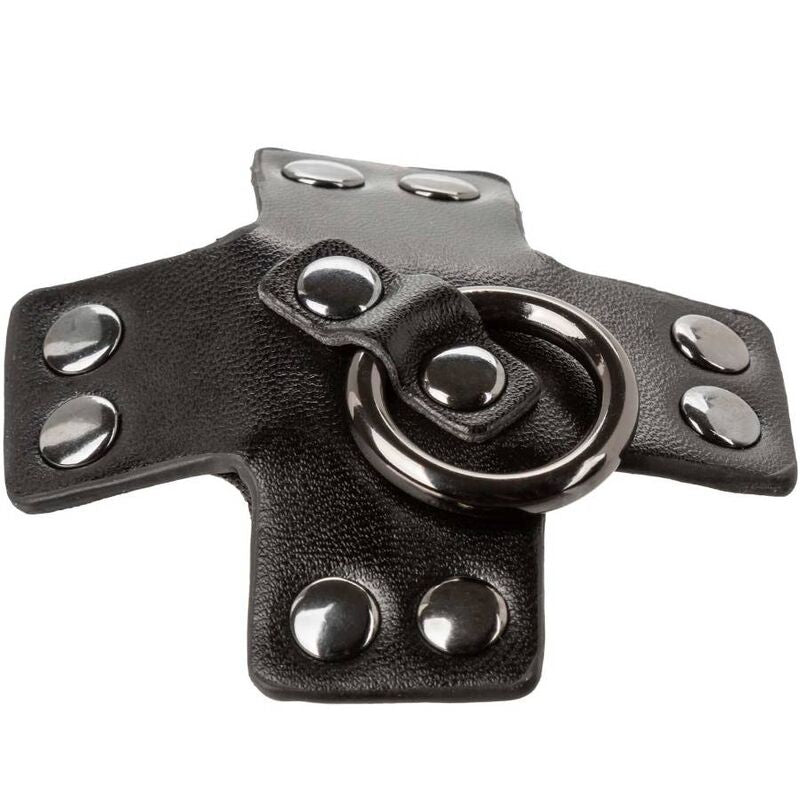 Calexotics Euphoria O-Ring Black