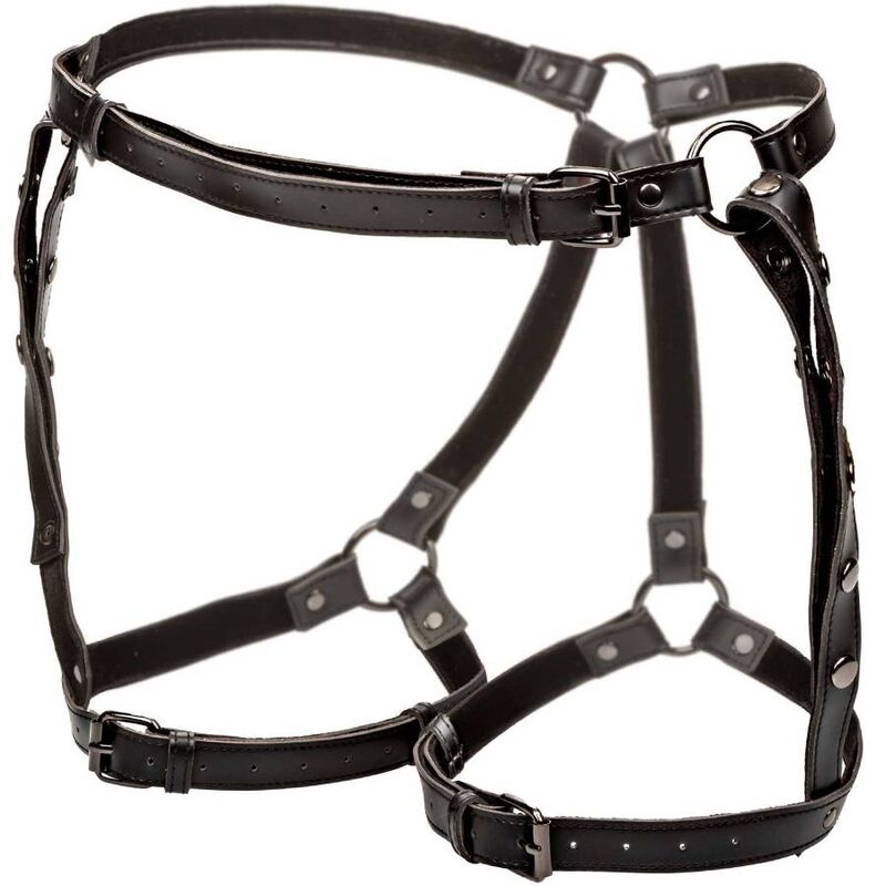 Calexotics Euphoria Plus Size Riding Thigh Harness