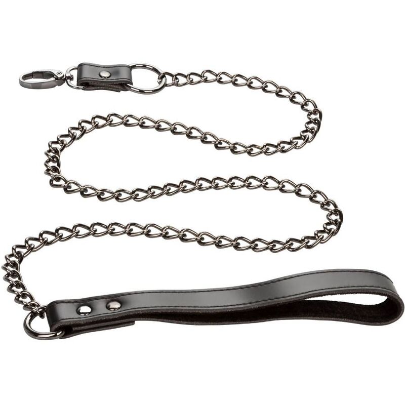 Calexotics Euphoria Collar With Chain Leash