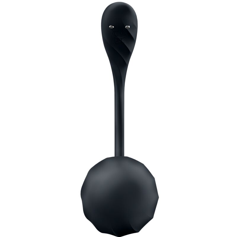 Satisfyer Partner Satisfyer - Ribbed Petal G Point Stimulator Remote Control Black Free App