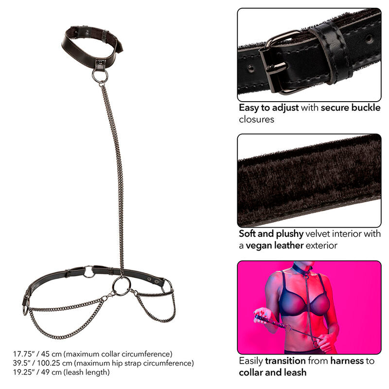 Calexotics Euphoria Chain Halter Collar & Leash