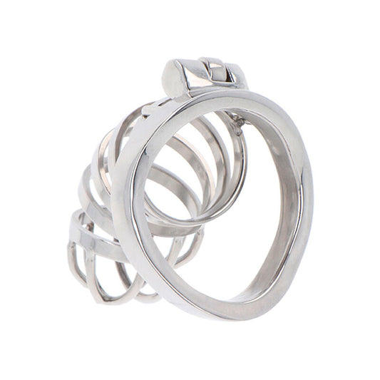 Hidden Desire Extreme Chastity Cock Cage Metal