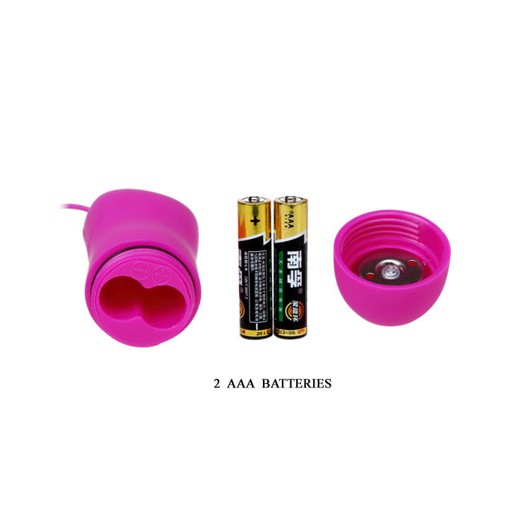 Baile Stimulating Baile - Cute Secret Dolfin Vibrator 12V
