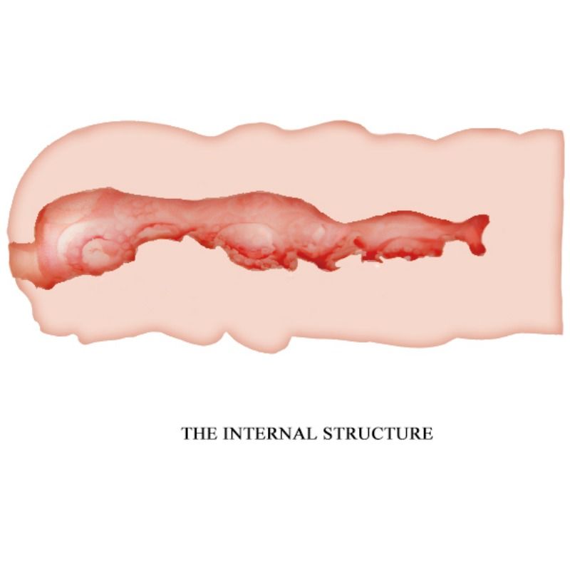 Crazy Bull Isabel Vagina Masturbator 13.5 Cm
