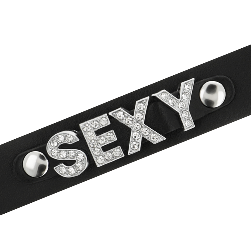 Coquette Accessories Coquette Chic Desire - Sexy Vegan Leather Choker