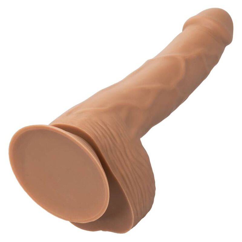 Calexotics Silicone Studs 20.32 Cm Brown