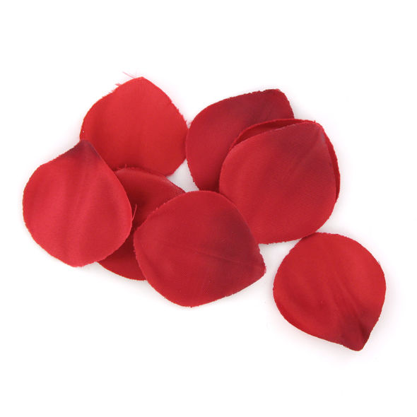 Extase Sensual Red Temptation Chest