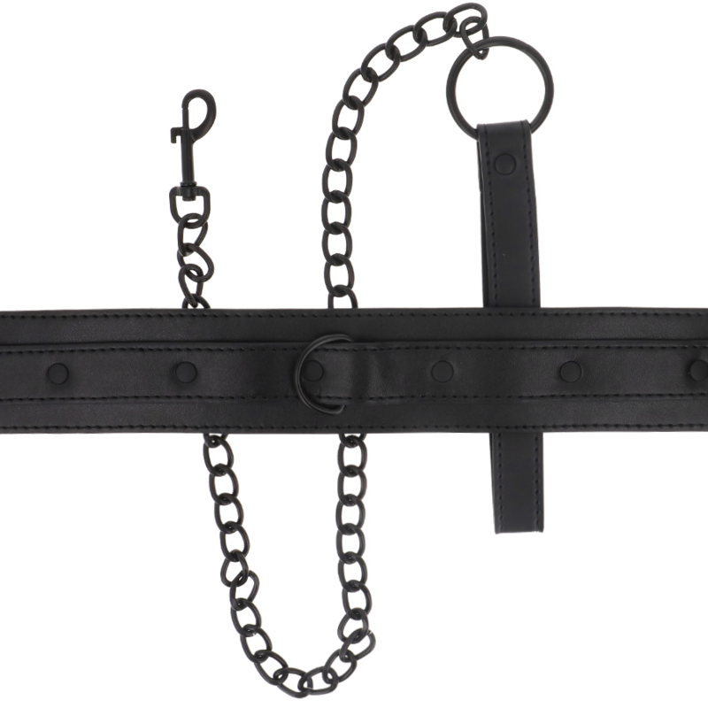 Intense Fetish Intense - Fetish Vegan Leather Collar