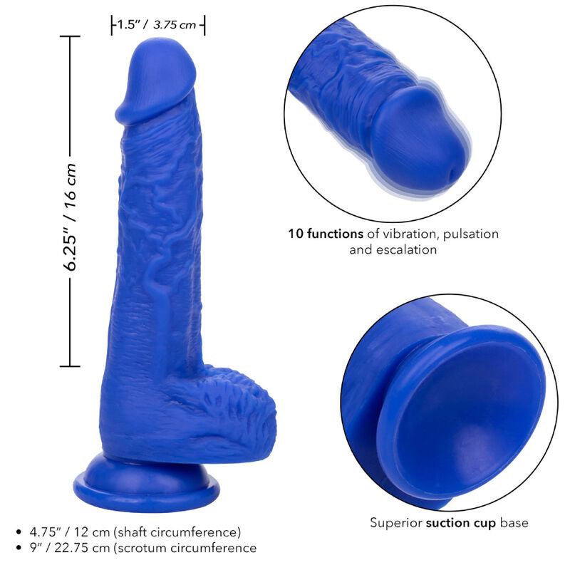Calexotics Admiral Sailor Realistic Dildo Vibrator Blue
