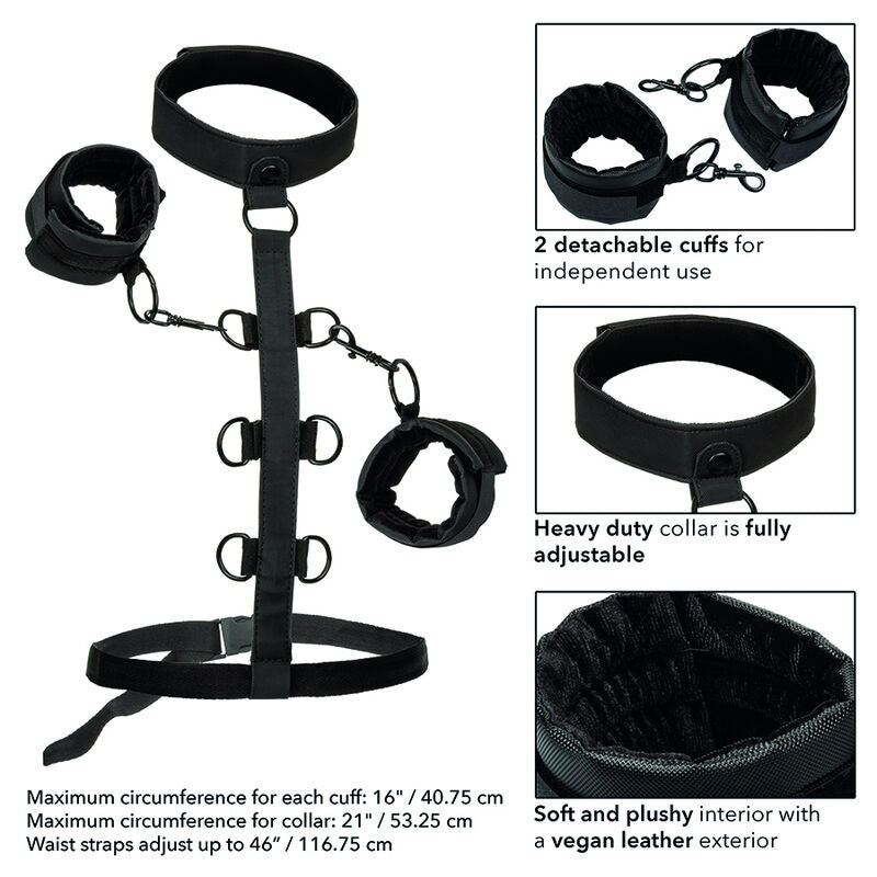 Calexotics Boundless Collar Body Restraint