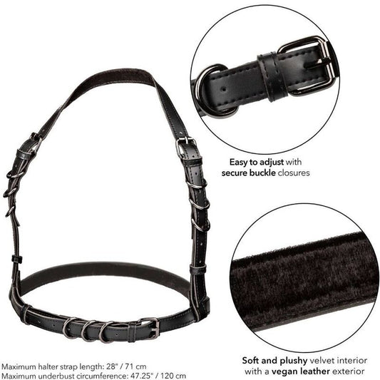 Calexotics Euphoria Plus Size Halter Buckle Harness Black
