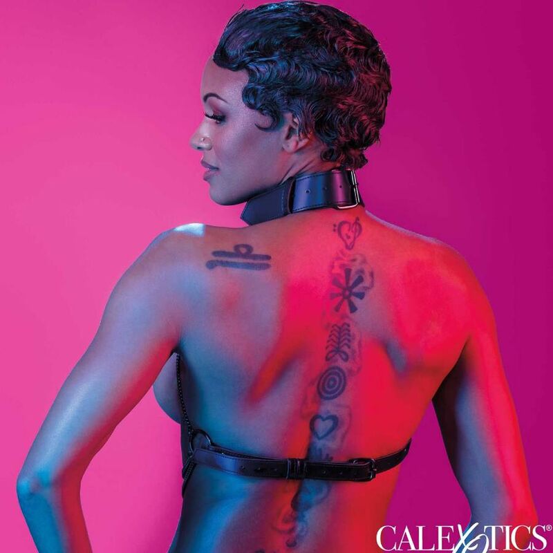 Calexotics Euphoria Multi Chain Collar Harness