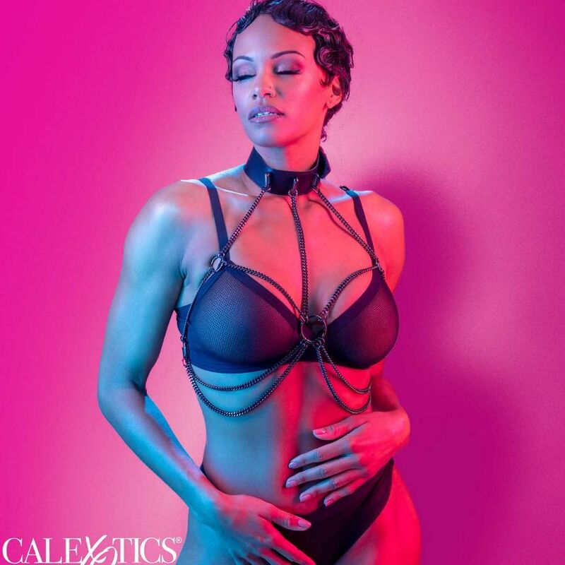 Calexotics Euphoria Multi Chain Collar Harness