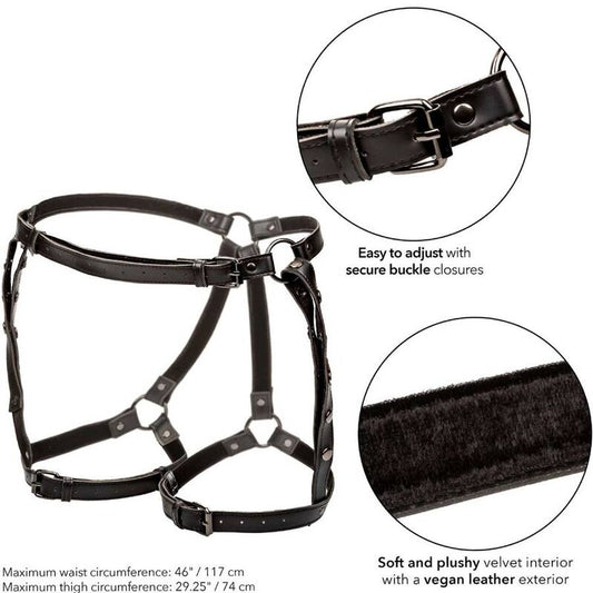 Calexotics Euphoria Plus Size Riding Thigh Harness