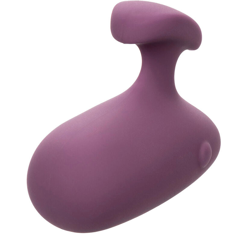 Calexotics Mod Touch Stimulator Purple