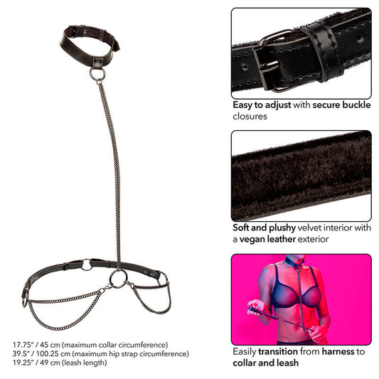 Calexotics Euphoria Chain Halter Collar & Leash