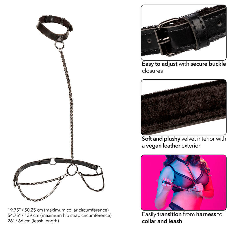 Calexotics Euphoria Chain Halter Collar & Leash Plus Size