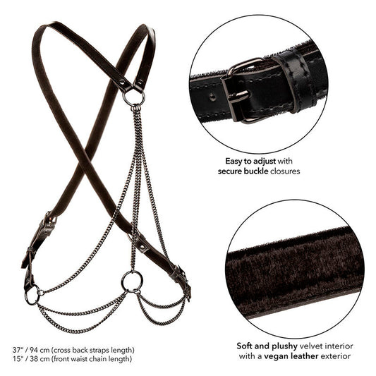 Calexotics Euphoria Multichain Harness Premium