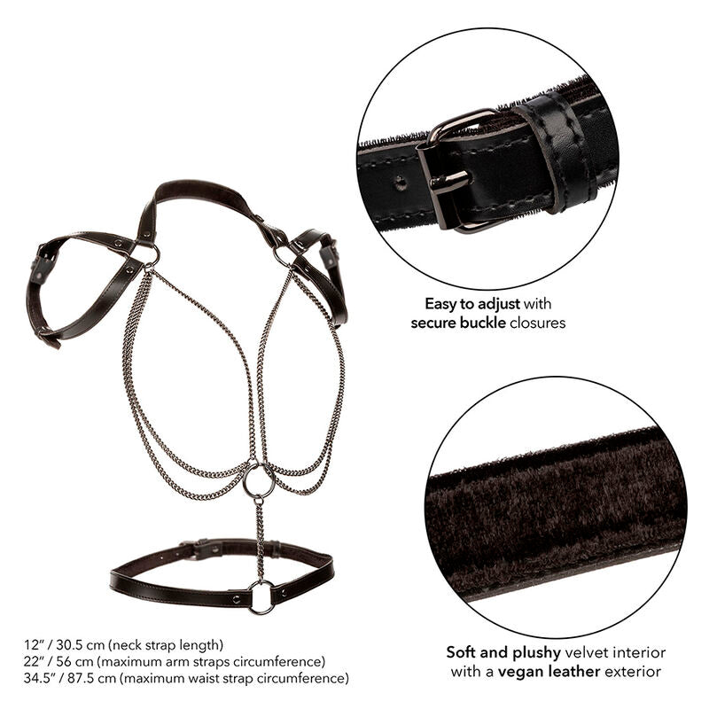 Calexotics Euphoria Multichain Halter Harness Premium