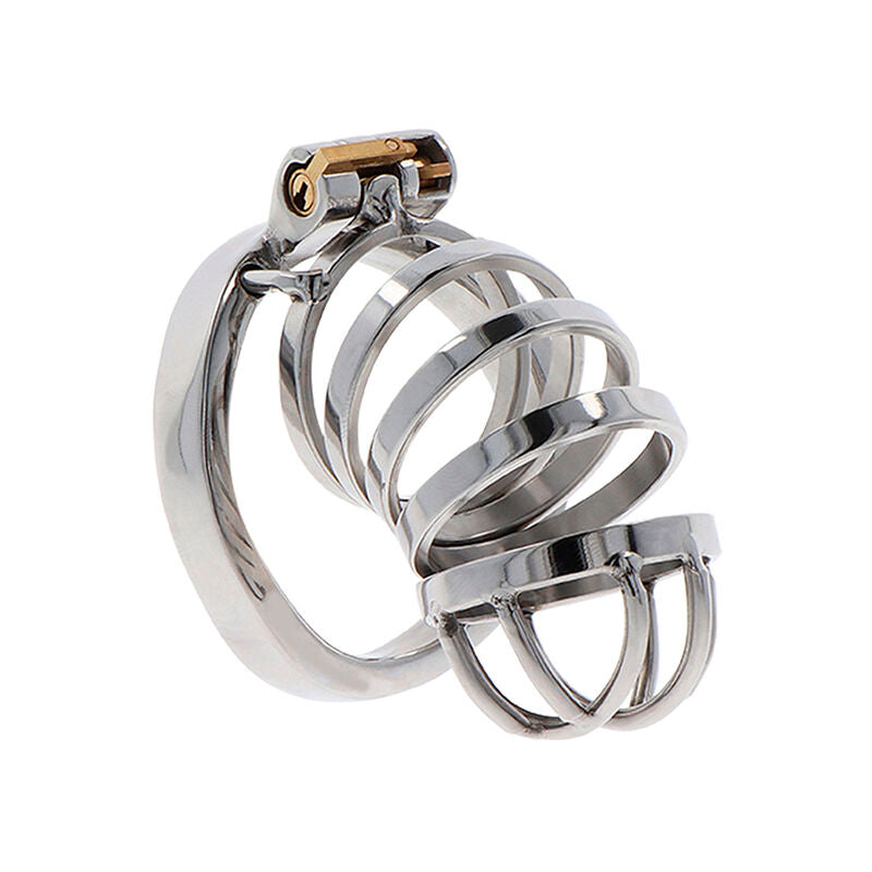 Hidden Desire Extreme Chastity Cock Cage Metal