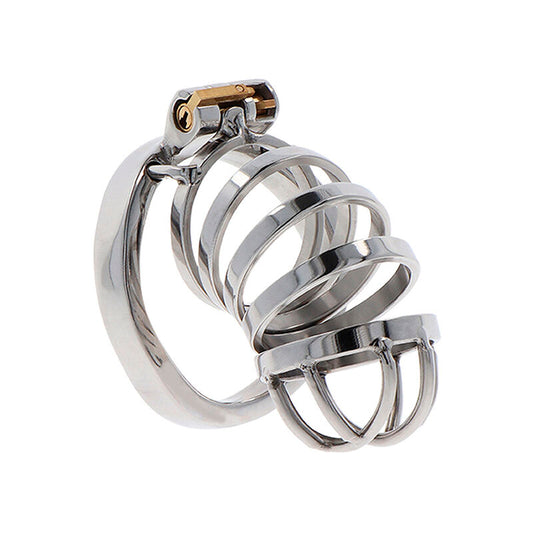Hidden Desire Extreme Chastity Cock Cage Metal