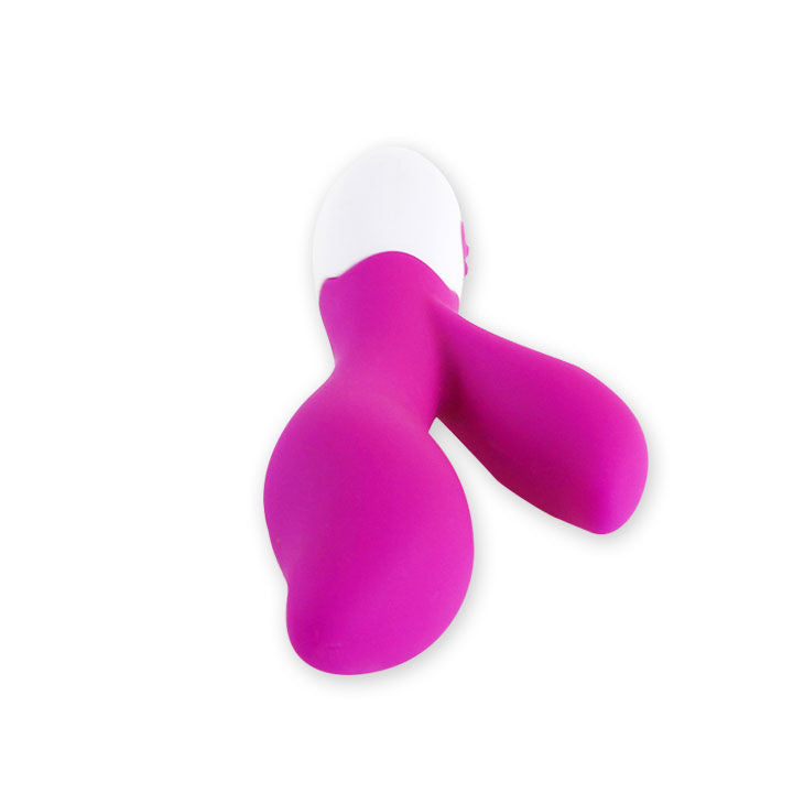 Pretty Love Flirtation Pretty Love - Vibrator Stimulator Newman