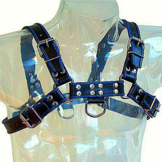 Leather Body Blue And Black Leather Harness Chest Bulldog
