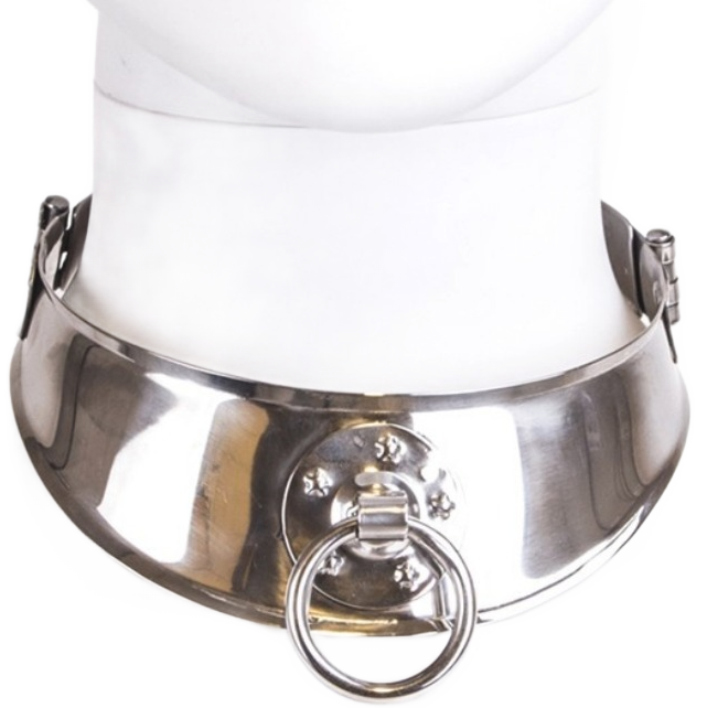 Metal Hard Restraint Collar With Ring