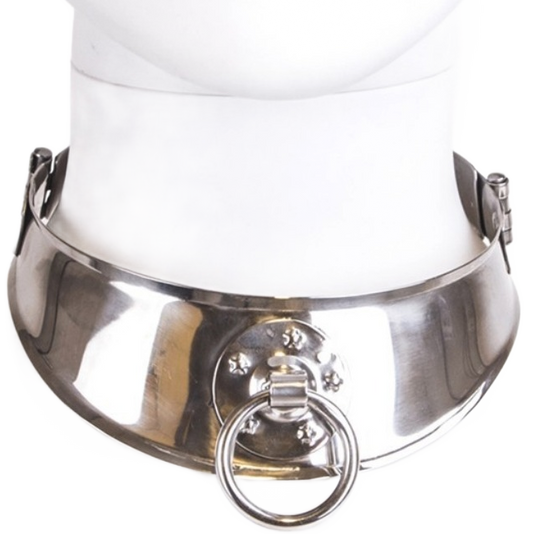 Metal Hard Restraint Collar With Ring
