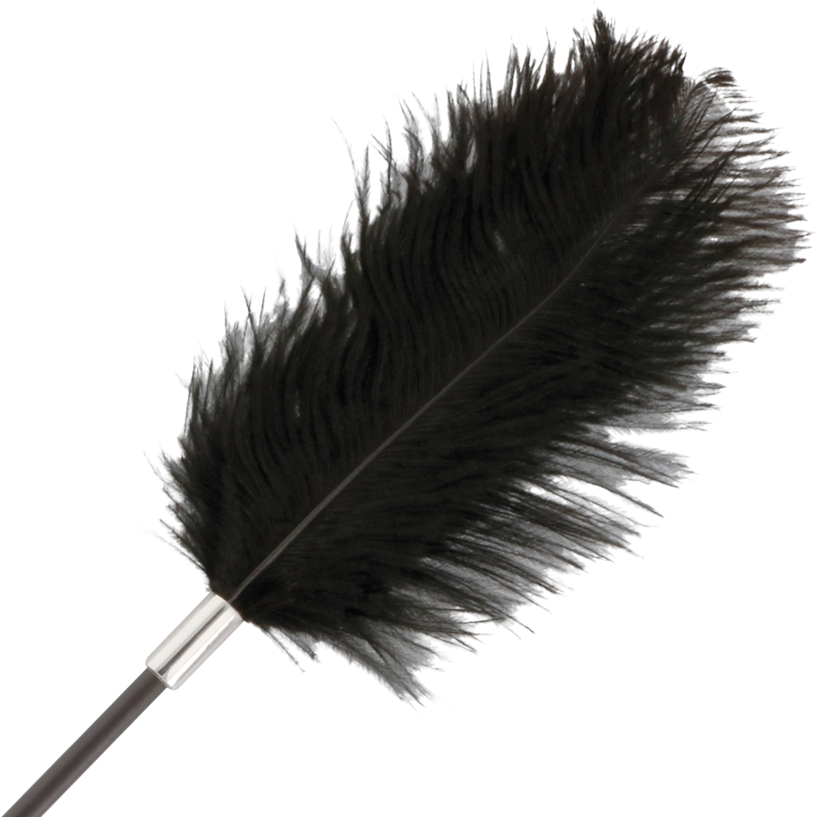 Darkness Sensations Darkness - Black Love Feather Whip 56 Cm