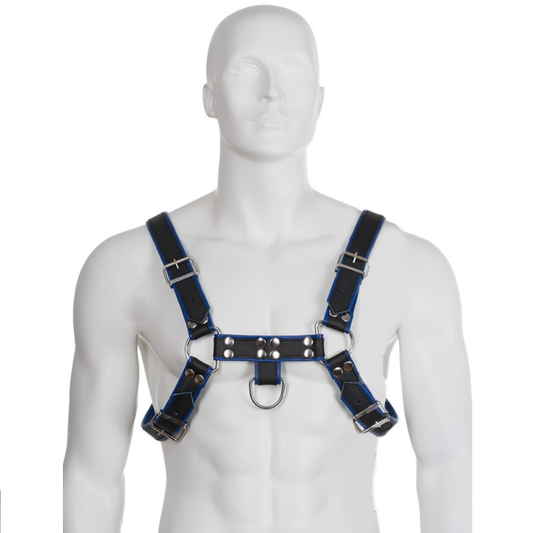 Leather Body Blue And Black Leather Harness Chest Bulldog