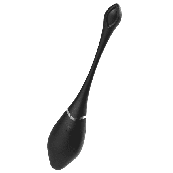 Dildo.dk Black & Silver Vibrerende Fjernbetjent Æg